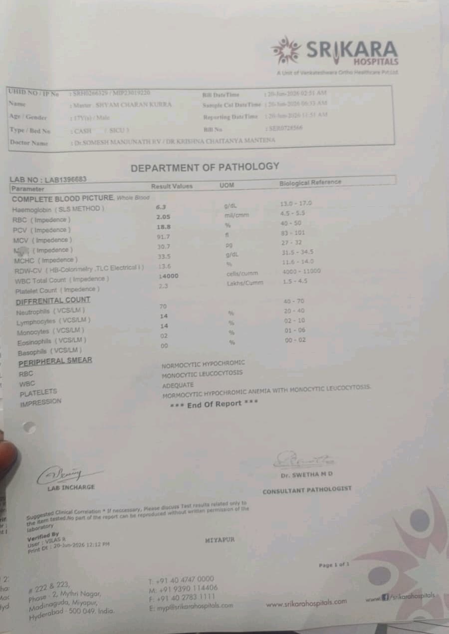 document 1