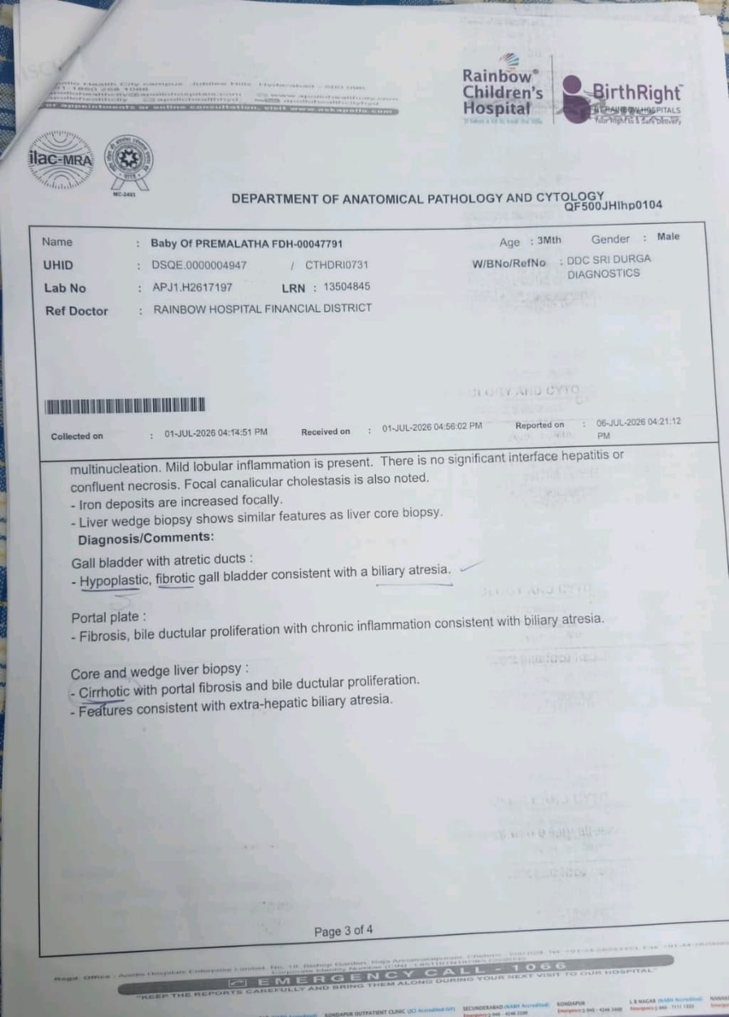 document 4