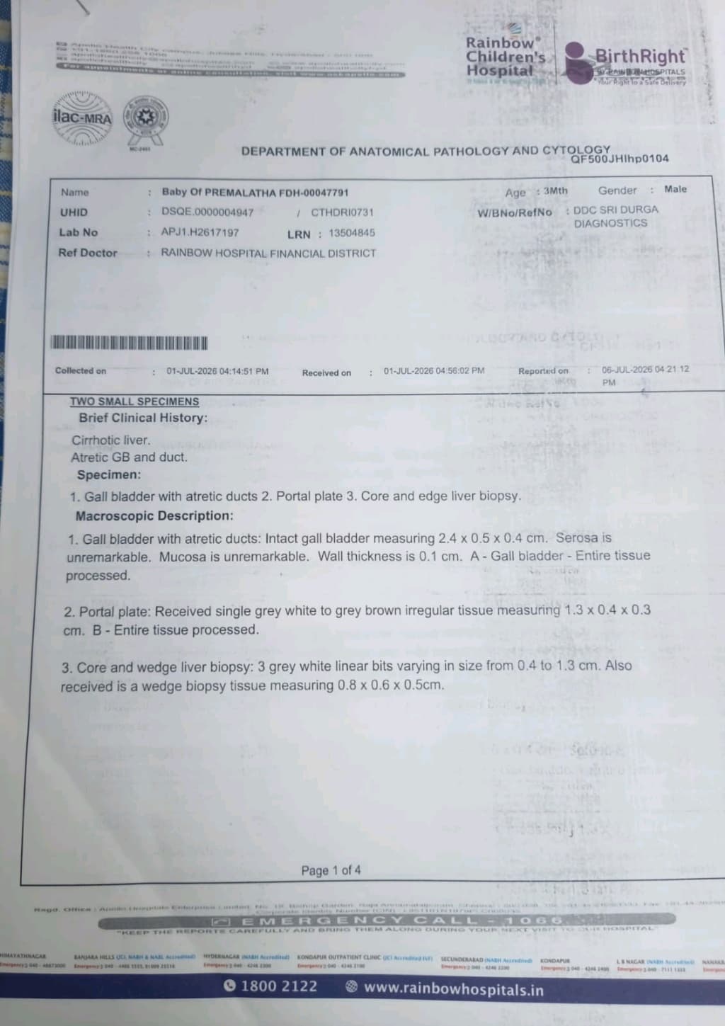 document 5